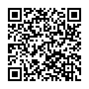 QR MAX 1